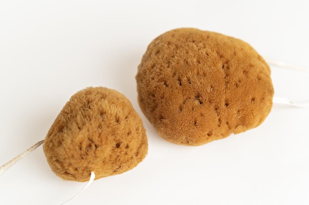 Gąbka Morska - Pluszowy Jedwab