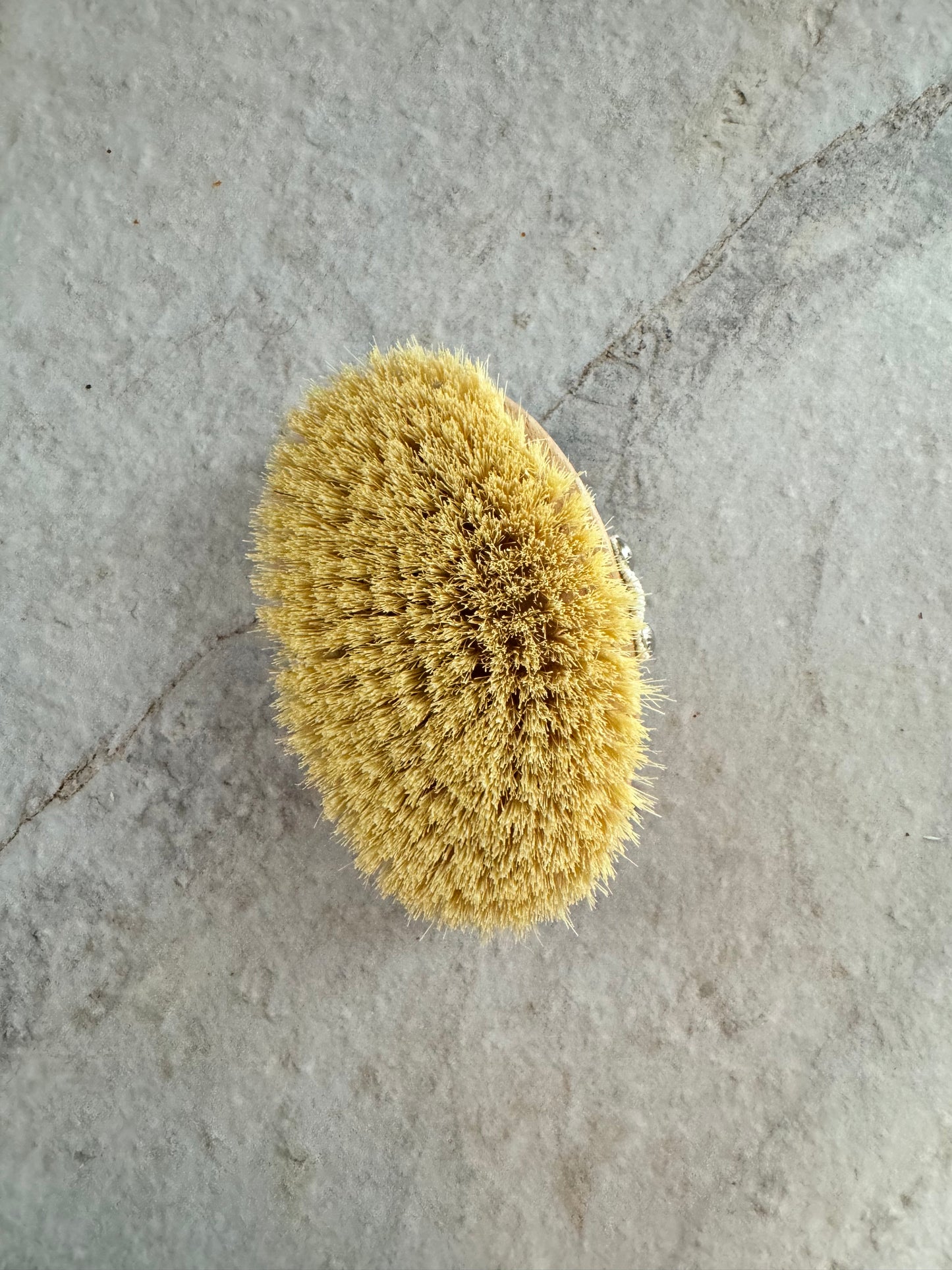 Szczotka do masażu, 100% tampico, pasek 100% bawełna, drewno woskowane buk