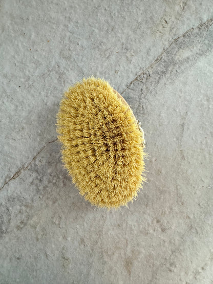 Szczotka do masażu, 100% tampico, pasek 100% bawełna, drewno woskowane buk