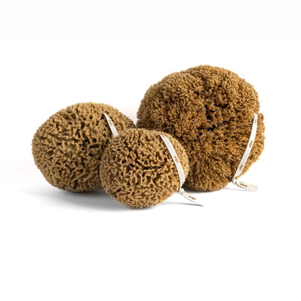 Gąbka Morska - Plaster Miodu