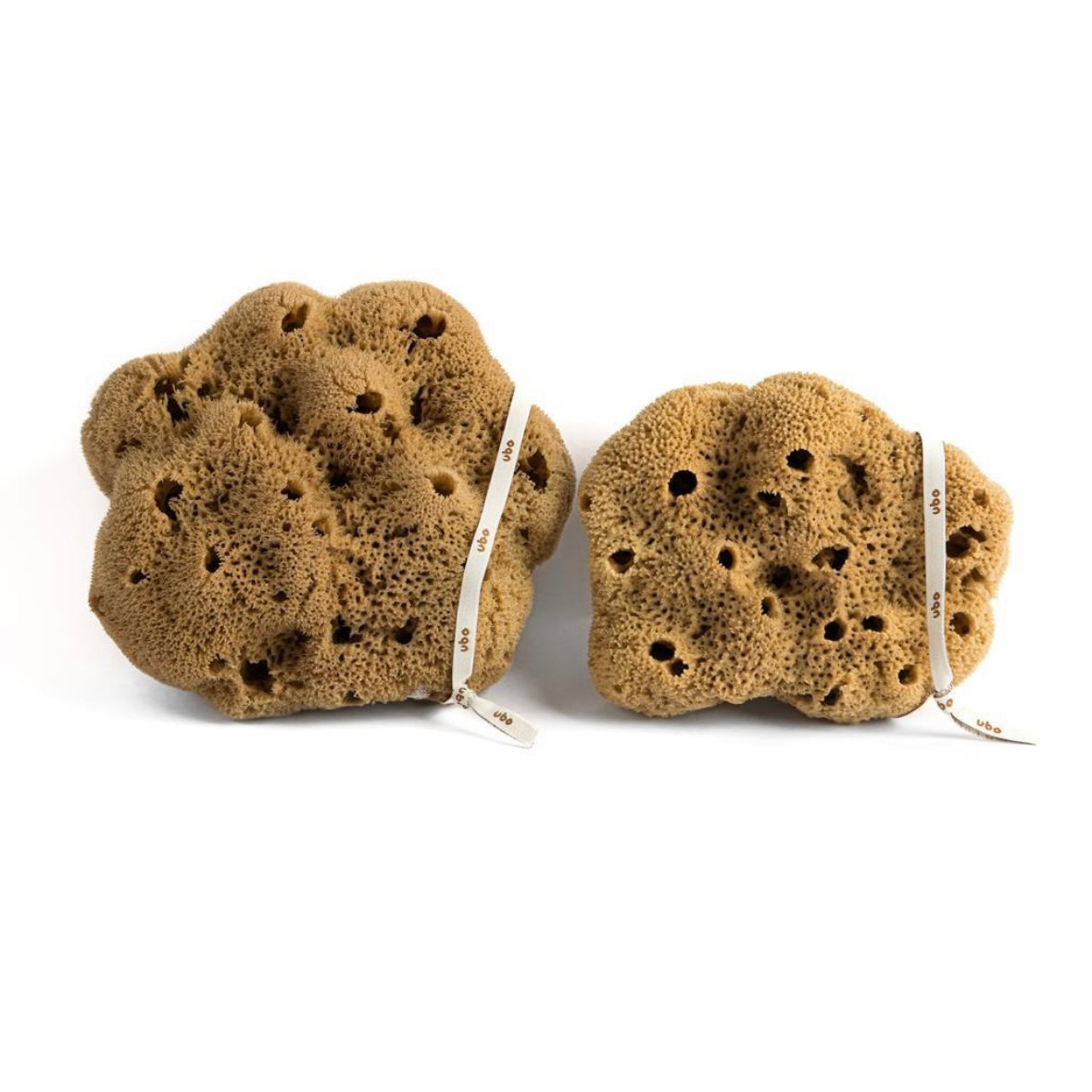 Gąbka Morska - Jedwab