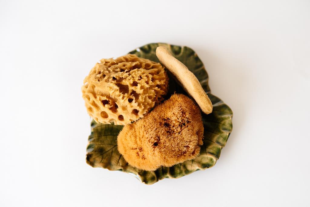 SET 3 gąbeczek + talerzyk