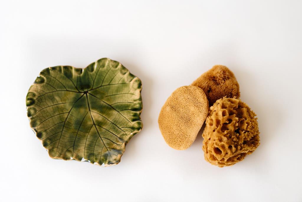 SET 3 gąbeczek + talerzyk