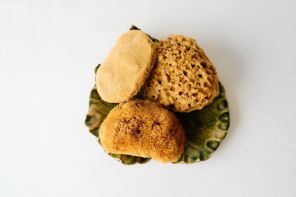 SET 3 gąbeczek + talerzyk