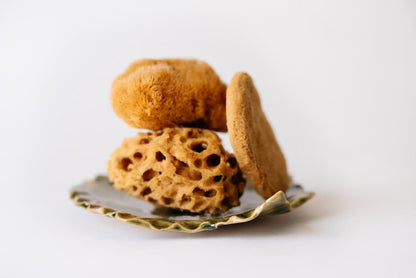 SET 3 gąbeczek + talerzyk