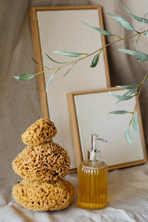 Gąbka Morska - Plaster Miodu